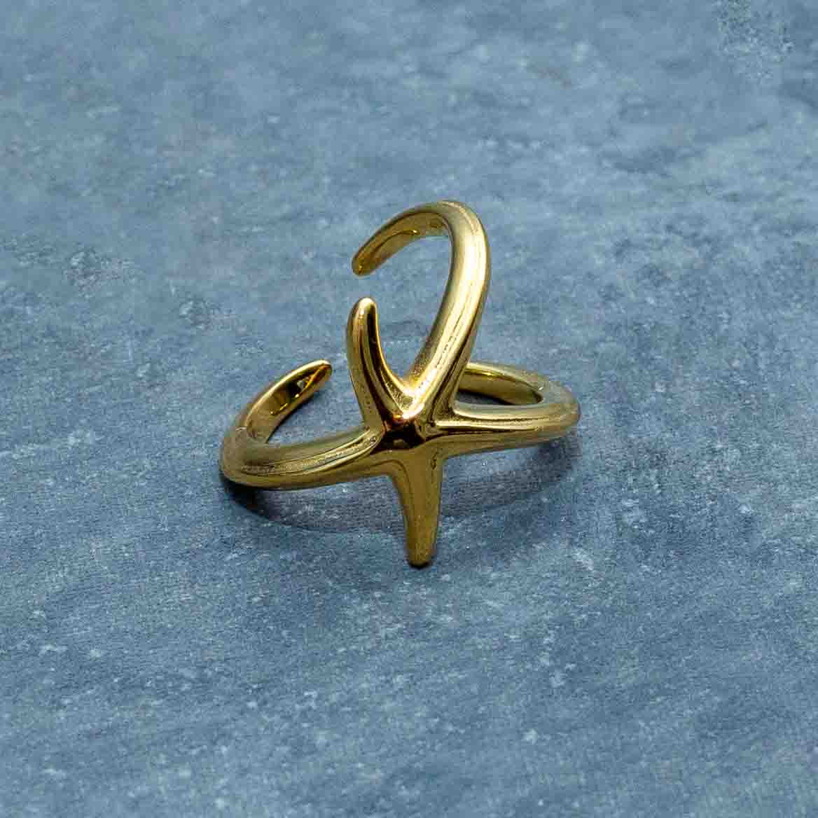 Nirvana Rings